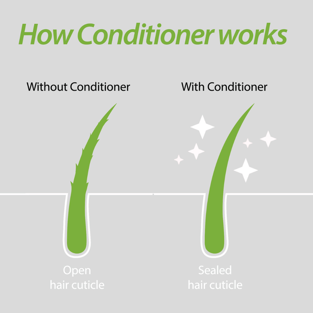 How conditioner works, Plantur 39 seals the hair cuticle